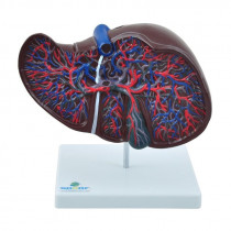 Fígado Luxo Fígado Luxo