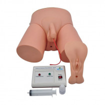Simulador de Cateterização Vesical Bissexual Adulto com Dispositivo Eletrônico Simulador de Cateterização Vesical Bissexual Adulto com Dispositivo Eletrônico