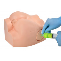 Simulador de Injeção Intramuscular no Glúteo e Sondagem Retal Simulador de Injeção Intramuscular no Glúteo e Sondagem Retal
