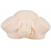 Simulador de Parto Básico Simulador de Parto Básico