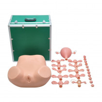 Simulador Ginecológico com Útero Saudável e Patológico Simulador Ginecológico com Útero Saudável e Patológico