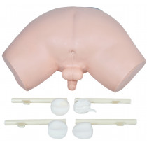 Simulador para Exame de Próstata Simulador para Exame de Próstata