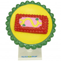 Modelo de Vírus HIV Modelo de Vírus HIV