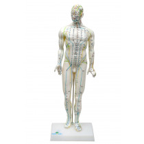Modelo De Acupuntura Feminino De 50cm