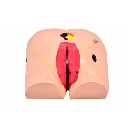 Simulador P/ Cuidados da Úlcera no Decúbito