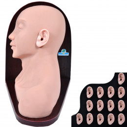 Simulador Avançado para Exame Otológico