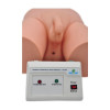 Simulador de Cateterização Vesical Bissexual Adulto com Dispositivo Eletrônico