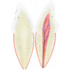 Dentes em 6 Partes (Incisivo, Canino e Molar)
