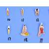 Modelo de Patologias Dentárias c/ 25 Partes em Placa