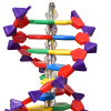 Dupla Hélice de DNA